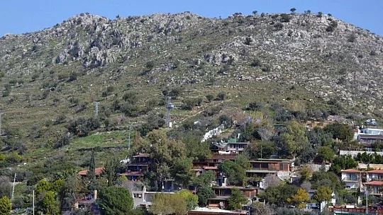 Vali Tavlı, kaçak yapıları denizden inceledi