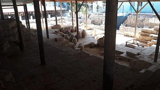 Vali Tavlı, Kral Mezarında İncelemelerde Bulundu