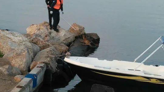 Duyarlı vatandaşın sayesinde boğulmaktan kurtuldu