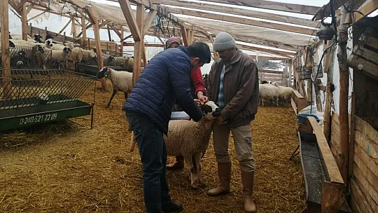 Kızıma Küpe Taktılar