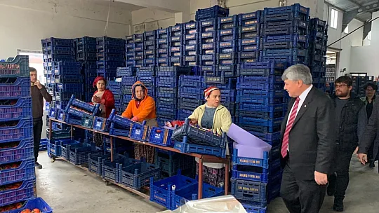 Ergun, 'Konuyu Meclis'te gündeme getireceğiz'