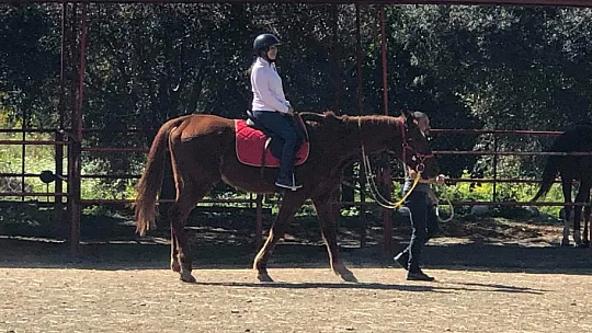 Engellilere ücretsiz at terapisi 