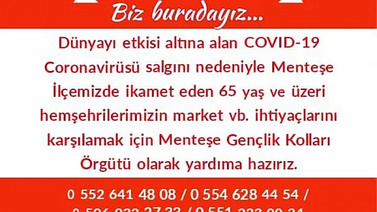 Menteşe'de Yaşlıların Market Alışverişini CHP'li Gençler Üstlendi