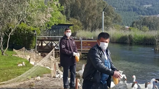 Azmak'ın Sembolleri MUÇEV tarafından Beslendi