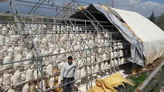 Fırtına Yıktı Geçti