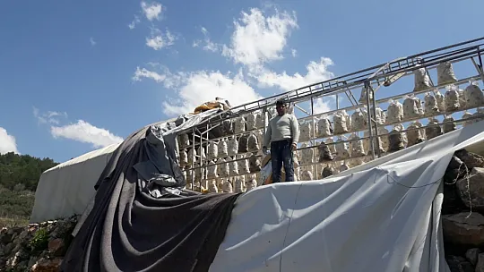Fırtına Yıktı Geçti