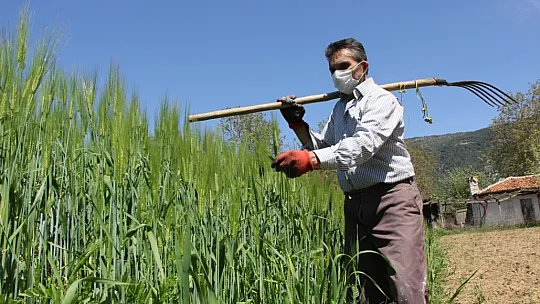 Muğla'da Herkes Evinde, Çiftçiler Tarlada