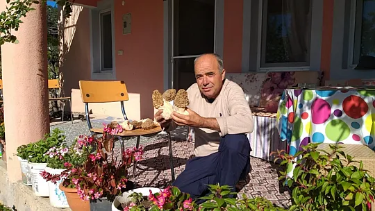 7 Kuzu Göbeği 1 Kilo 40 Gram