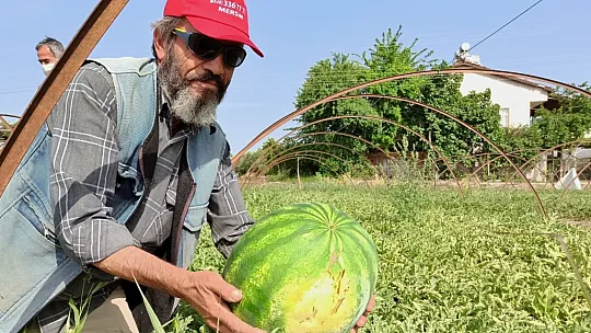 Bölgenin En Erkenci Karpuzu Fethiye'de Üretildi
