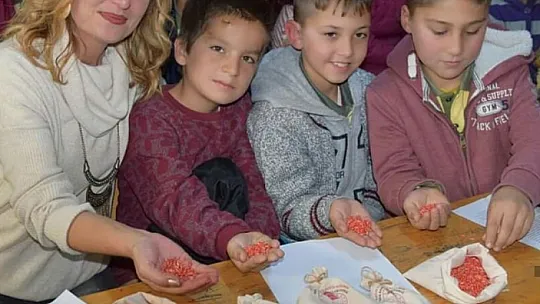 Binbir Renk, Tek Renk Olmadan 
