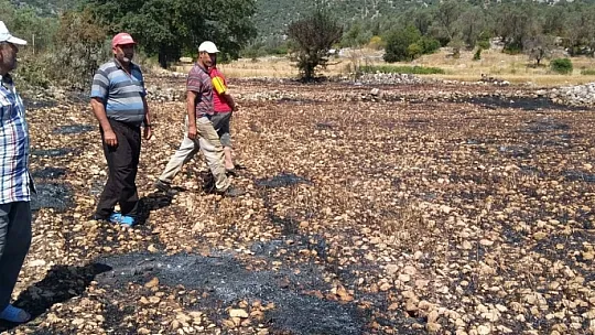 Yangında 5 Hektar Alan Zarar Gördü