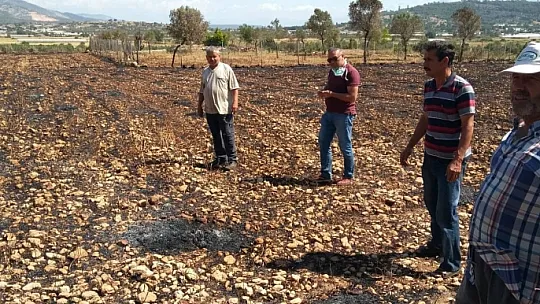 Yangında 5 Hektar Alan Zarar Gördü