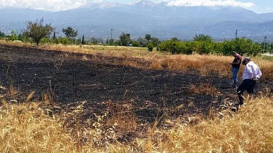 Yangında 5 Hektar Alan Zarar Gördü