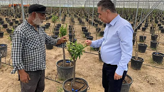 CHP Milletvekili Özcan, 13 İlçeye Yaptığı Covıd-19 Ziyaretlerinden Sonra Mahalle Ziyaretlerine Başladı