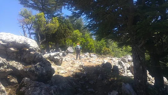Paramotor ve Foto Kapanla Aranıyor