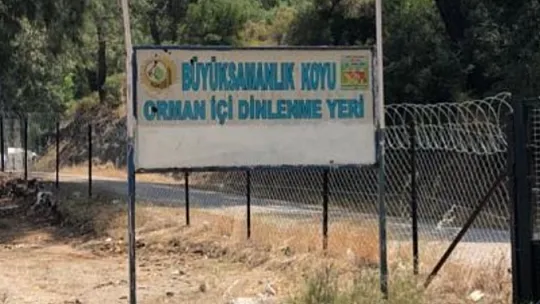 Kaymakam Şahiner ve AK Parti İlçe Başkanı Turgay Öztürk koyda inceleme yaptı