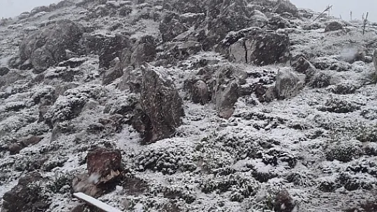 Yaylalar Haziran ayında beyaza büründü 