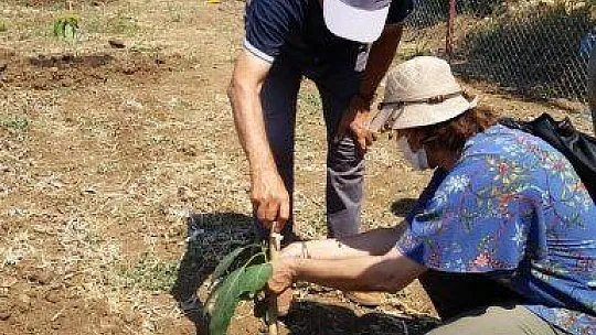FETHİYE TROPİKAL MEYVE-SEBZE CENNETİ OLMAYA ADAY