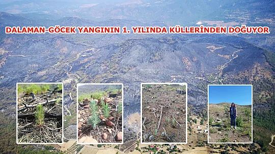 DALAMAN VE GÖCEK TEKRAR YEŞERİYOR