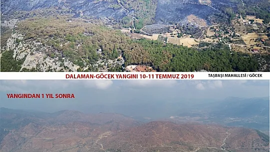 DALAMAN VE GÖCEK TEKRAR YEŞERİYOR