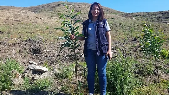 DALAMAN VE GÖCEK TEKRAR YEŞERİYOR