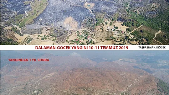 DALAMAN VE GÖCEK TEKRAR YEŞERİYOR