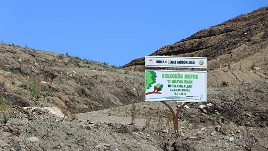 DALAMAN VE GÖCEK TEKRAR YEŞERİYOR