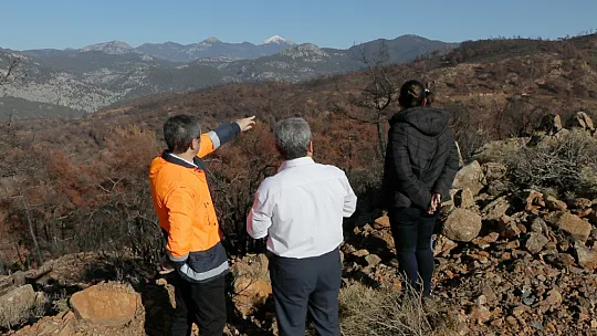 DALAMAN VE GÖCEK TEKRAR YEŞERİYOR