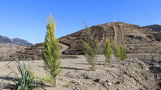DALAMAN VE GÖCEK TEKRAR YEŞERİYOR