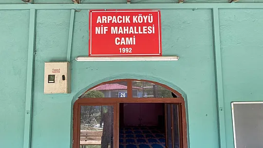 CHP'Lİ DEMİR, GENÇLERLE CAMİ BOYADI