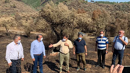 CHP'Lİ ÖZCAN: ORMAN YANGINLARI ÖNLENEBİLİRDİ!