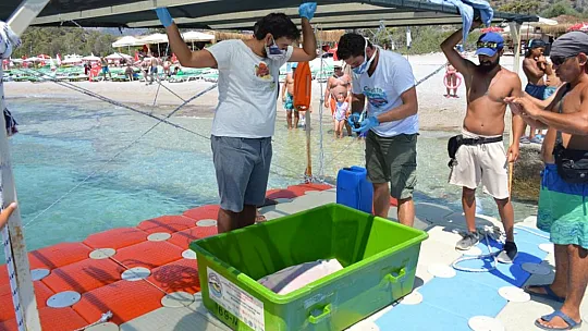 MİSİNA YUTAN YEŞİL DENİZ KAPLUMBAĞASINA OPERASYON