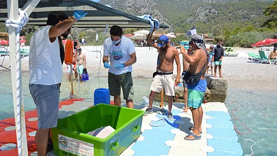 MİSİNA YUTAN YEŞİL DENİZ KAPLUMBAĞASINA OPERASYON