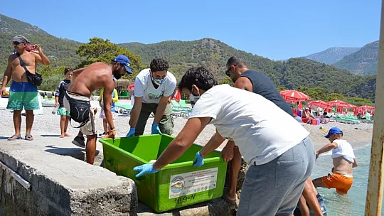 MİSİNA YUTAN YEŞİL DENİZ KAPLUMBAĞASINA OPERASYON