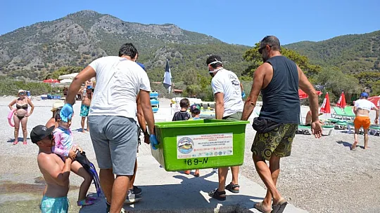 MİSİNA YUTAN YEŞİL DENİZ KAPLUMBAĞASINA OPERASYON