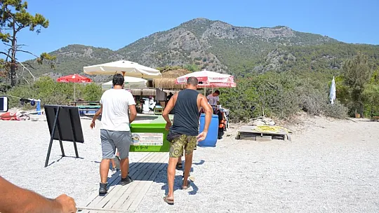 MİSİNA YUTAN YEŞİL DENİZ KAPLUMBAĞASINA OPERASYON