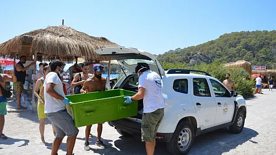 MİSİNA YUTAN YEŞİL DENİZ KAPLUMBAĞASINA OPERASYON