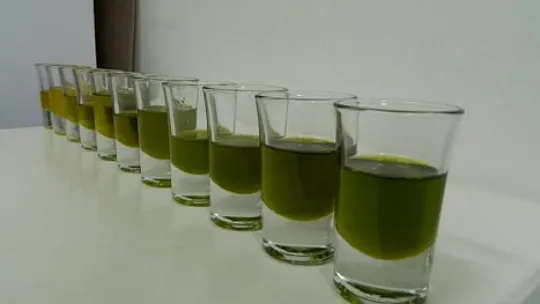 921 polifenol değerine ulaşıldı