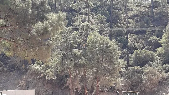 KIRTUR'DAN ÖRNEK ÇEVRECİLİK