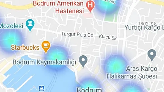 Muğla'da ilçe ilçe korona virüs haritası