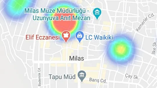 Muğla'da ilçe ilçe korona virüs haritası