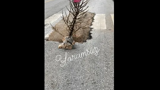 Fıkraları aratmayacak görüntü: 'Yaya geçidi sizlere ömür'