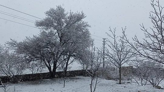 Yüksek bölgelere yine kar yağdı