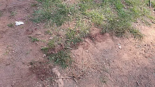 Darp Edilip Hastane Önüne Bırakılan Şahıs Hayatı Kaybetti