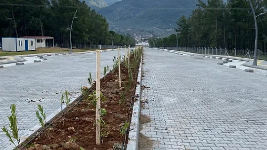 Kampüs yollarını çiçeklerle donattılar