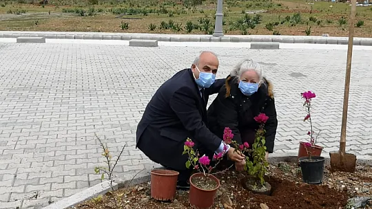 Kampüs yollarını çiçeklerle donattılar