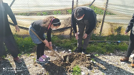 Orman Haftası dolayısıyla öğrencilere lavanta fidanı dağıtıldı 