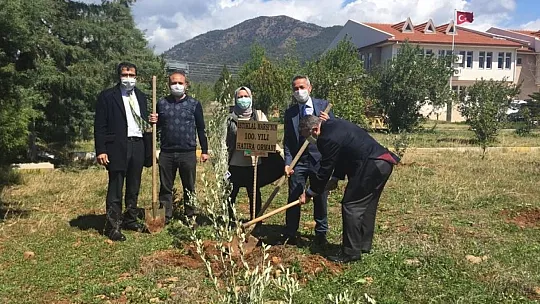 100. Yıl Hatıra Ormanı oluşturuldu