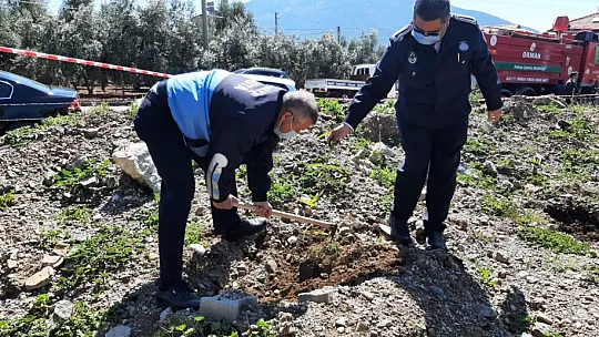 ADD Fethiye Şubesi'nden fidan dikme etkinliği