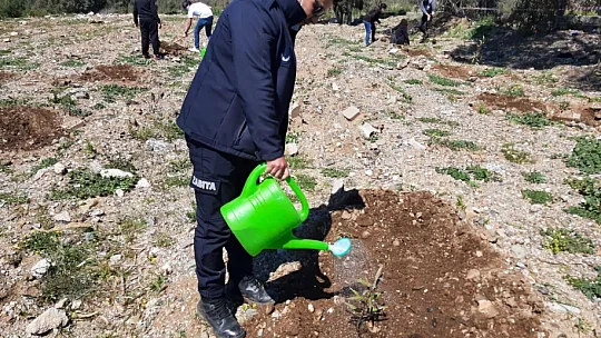 ADD Fethiye Şubesi'nden fidan dikme etkinliği